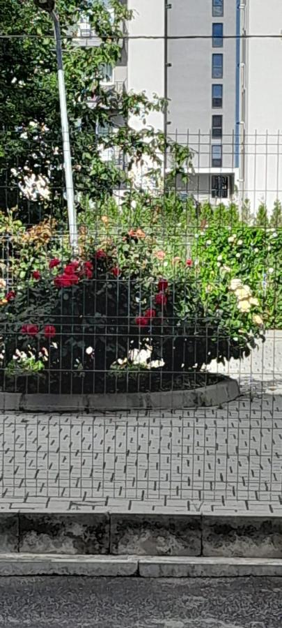 Coresi, 2 Camere, Sleeps 6 Large Private Garden Apartment Pets Welcome Μπρασόβ Εξωτερικό φωτογραφία