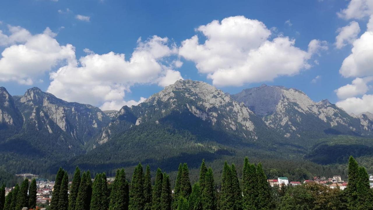 Coresi, 2 Camere, Sleeps 6 Large Private Garden Apartment Pets Welcome Μπρασόβ Εξωτερικό φωτογραφία